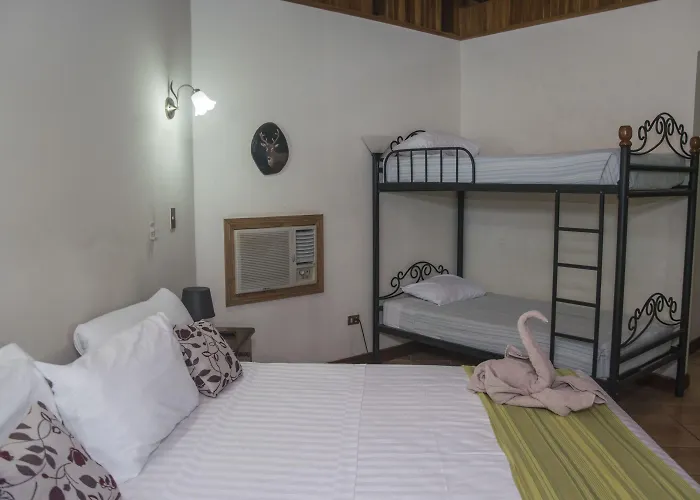 Acacia Hotel