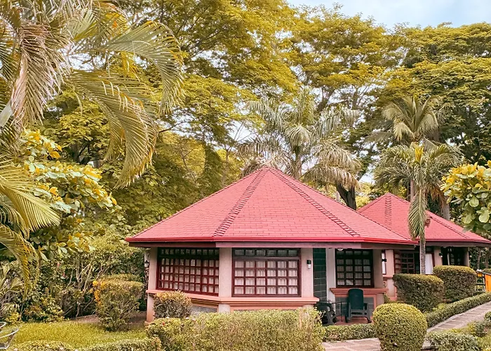 Hotel Acacia 3*