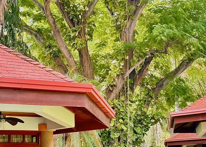 Acacia Hotel 3*