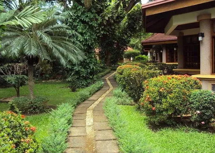 Acacia 3*